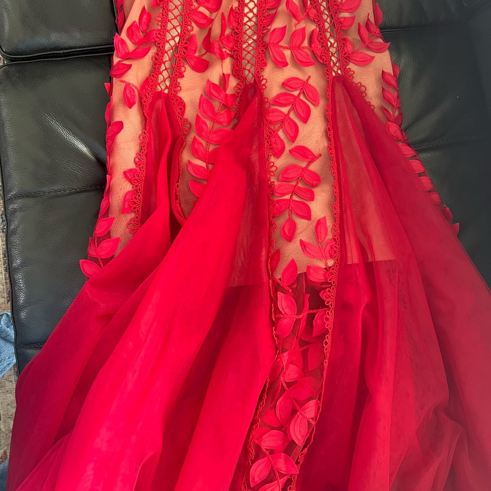Bronx and Banco Bold Red Lace & Appliqué Midi Dress - Picture 11 of 11
